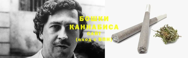 шишки Чита