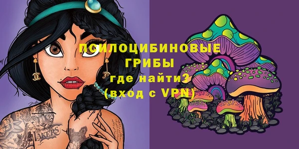 дмт Коряжма