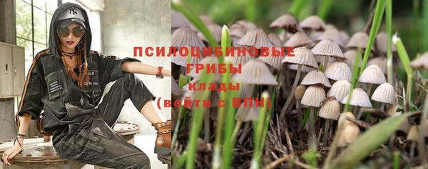 дмт Коряжма