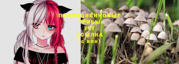 дмт Коряжма