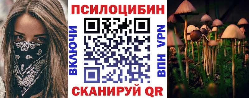 Галлюциногенные грибы Psilocybe Рошаль